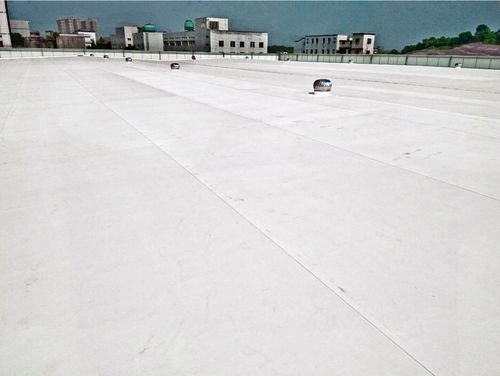 Latest company case about Hengyang Ziguang Pharmaceutical Project selected Haobang 1.5mm TPO waterproof membrane with a usage of 12,000 ㎡