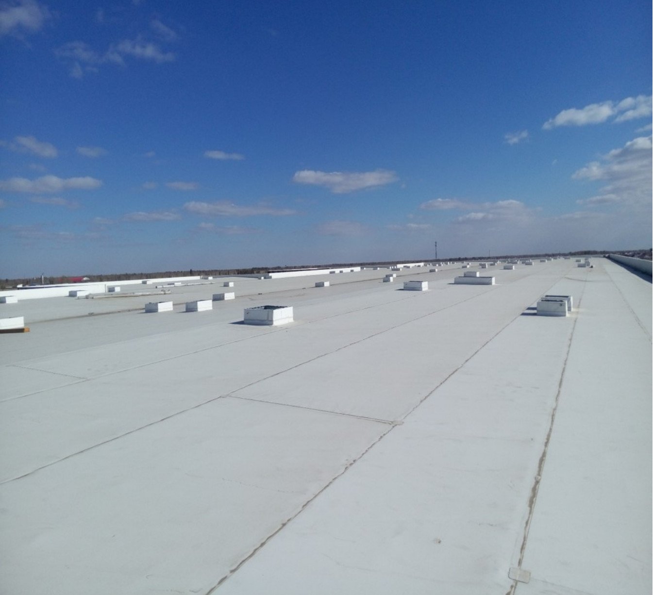 Latest company case about 55,000㎡ PVC waterproof membrane applied to the roof project of Horqin Cattle Industry Factory in Inner Mongolia