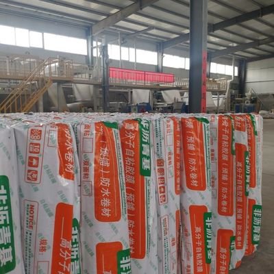 Good price Surface Smooth Hdpe Waterproofing Membrane 2.0mm Highly Resilient online