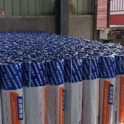 HDPE pre-laid anti-sticking waterproof membrane for basements tunnels & subways