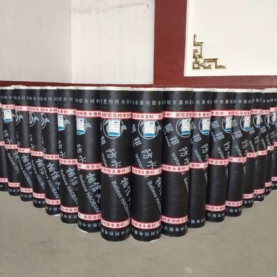 Durable Flexible Waterproof SBS Bitumen Membrane for Roof Protection 10m Roll